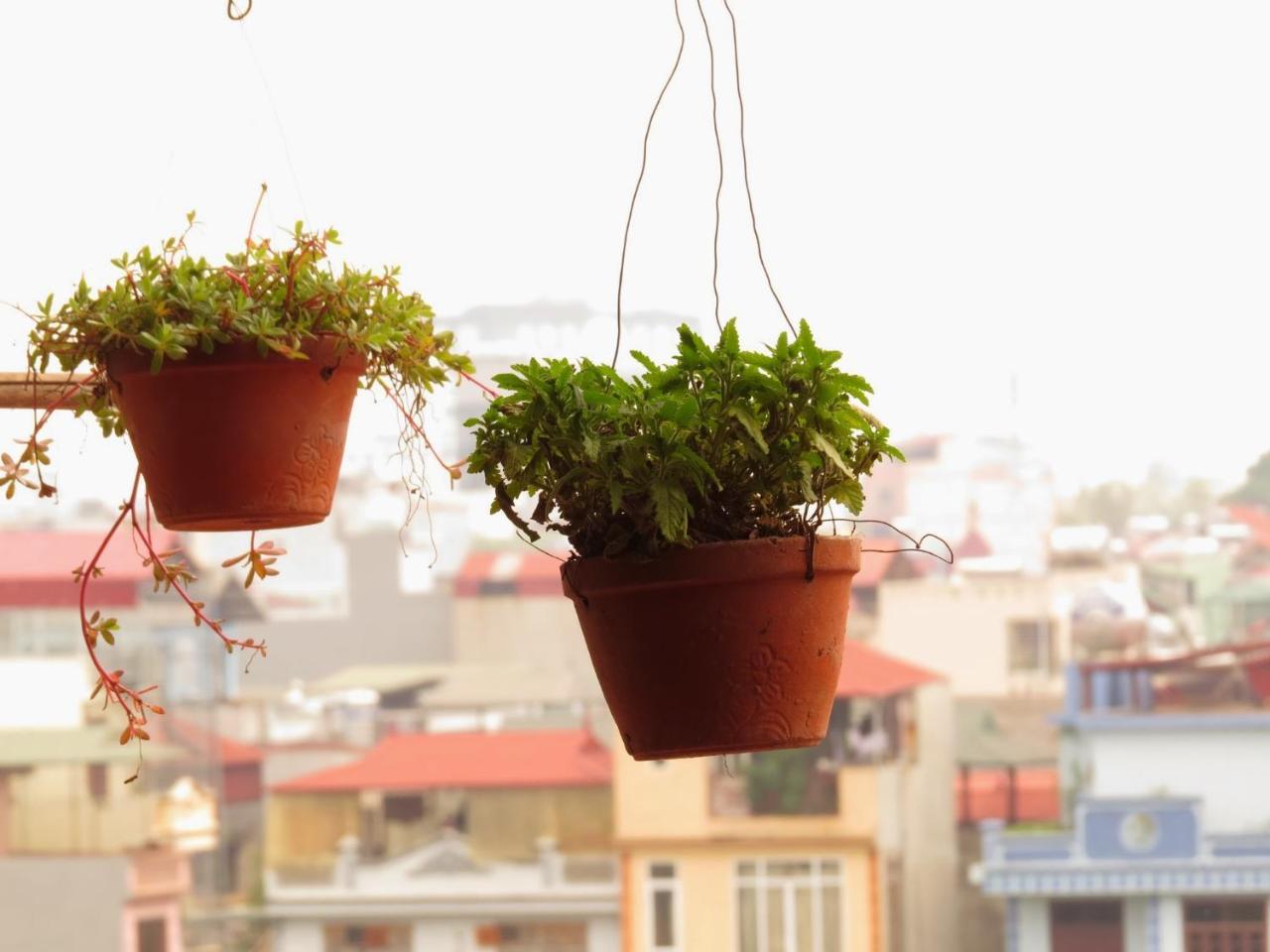 Capsule Hanoi Hostel Exterior photo